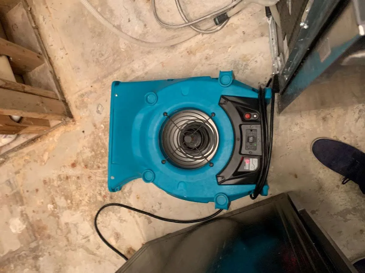 Air mover drying equipment for Mold Remediation & Removal in Brownsburg